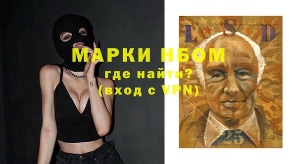 прущий лед Алзамай