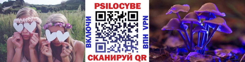 дарнет шоп  Дербент  Галлюциногенные грибы ЛСД 