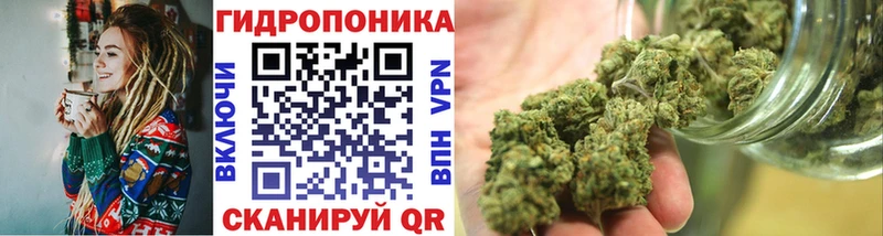 Каннабис семена  blacksprut онион  Дербент 